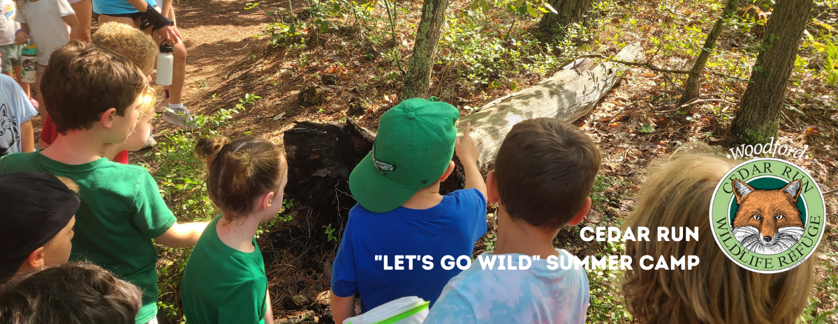 Summer Camp Aftercare and Add ons